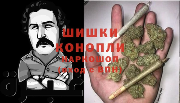 сатива Горнозаводск