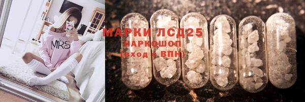 сатива Горнозаводск