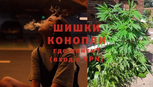 соль ск Горно-Алтайск