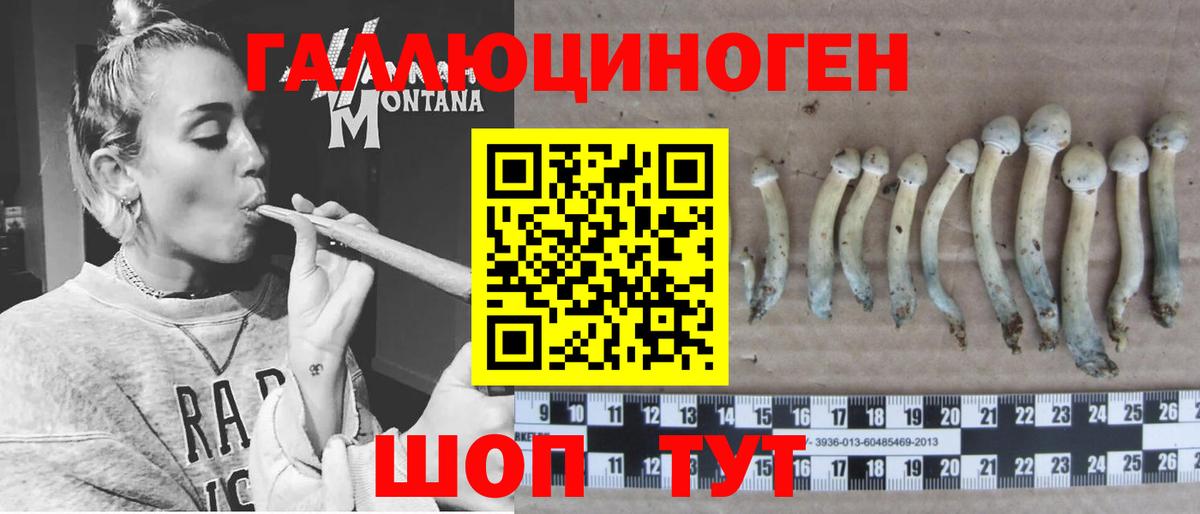 Зима  Галлюциногенные грибы Cubensis  Вход с VPN 