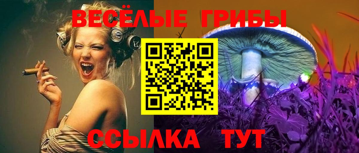 Галлюциногенные грибы мухоморы Зима