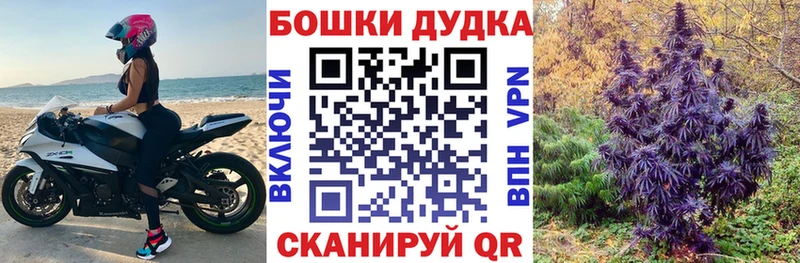 купить наркотик  Зима  мега   Каннабис конопля 